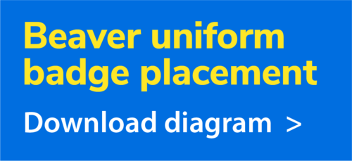 beaver_badge_placement_block