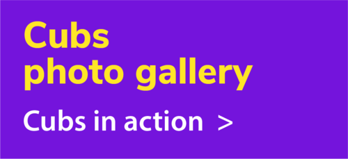 cubs_photo_gallery_block